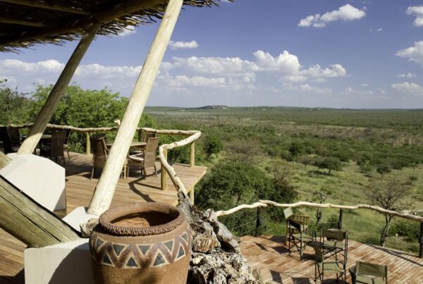 10 of the Best Luxury Lodges & Camps Around Etosha