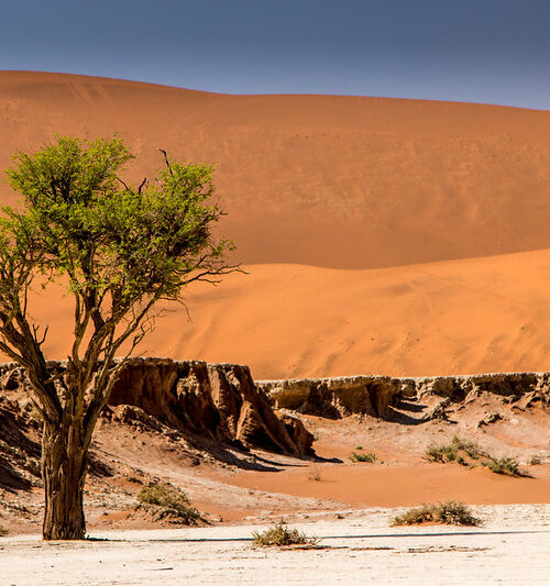 15 Top Places To Visit in Namibia