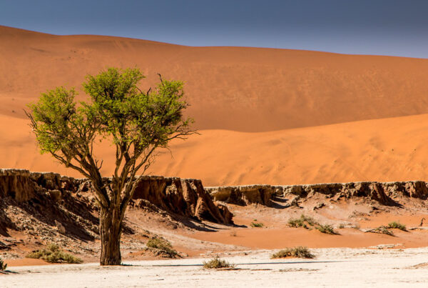 15 Top Places To Visit in Namibia