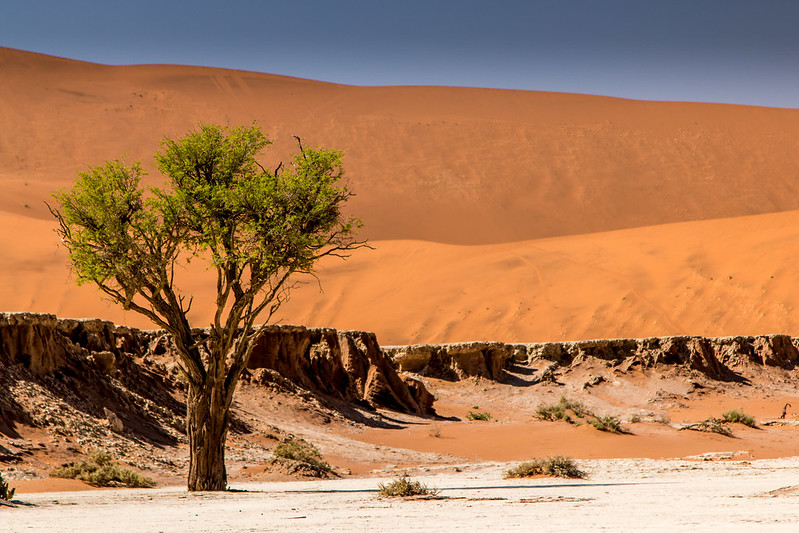 15 Top Places To Visit in Namibia