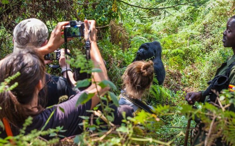 3 Day Bwindi Gorilla Trek and Lake Bunyonyi Tour