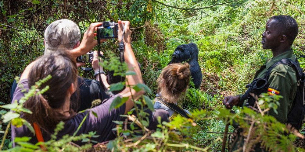 3 Day Bwindi Gorilla Trek and Lake Bunyonyi Tour
