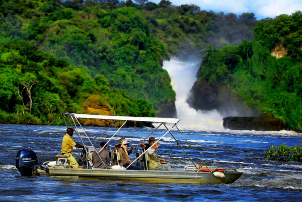 3 Day Murchison Falls National Park Safari