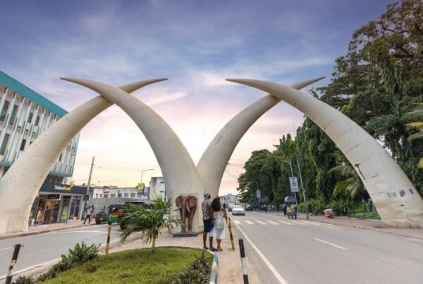 Best Parks & Game Reserves for a Safari Near Mombasa, Kenya