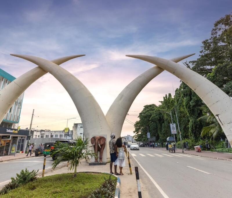 Best Parks & Game Reserves for a Safari Near Mombasa, Kenya