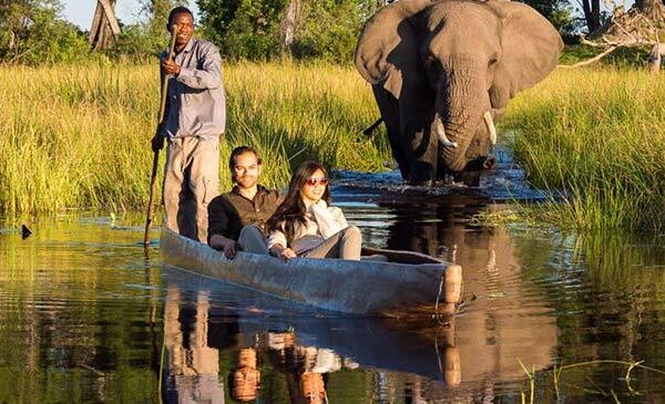 Botswana vs South Africa: Which Is Better for an African Safari?