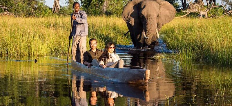 Botswana vs South Africa: Which Is Better for an African Safari?