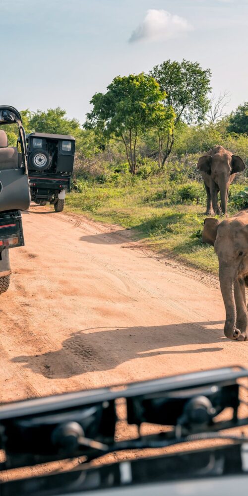 Things To Do in Kruger National Park