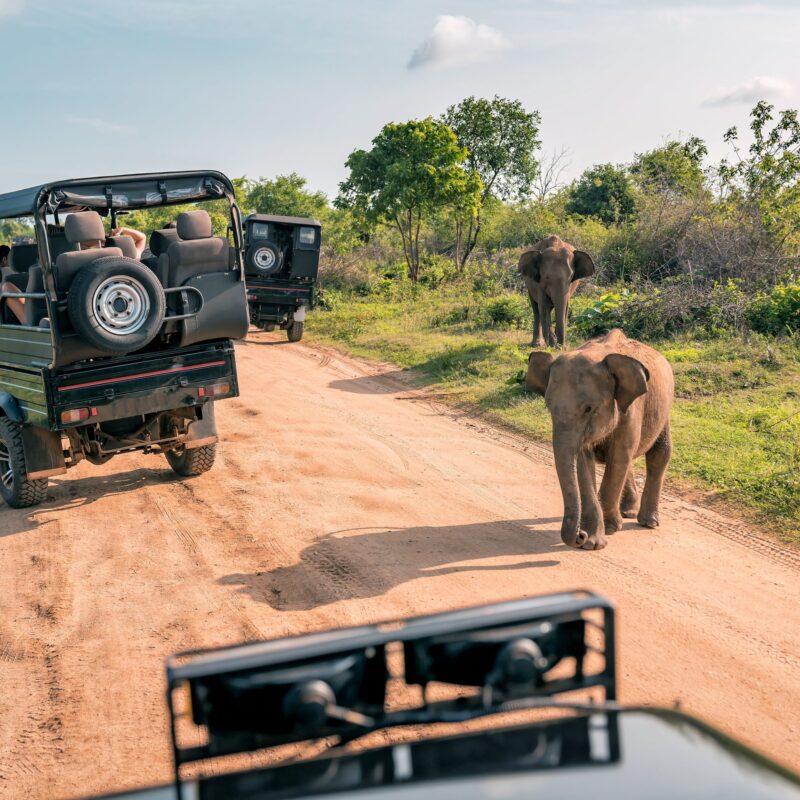 Things To Do in Kruger National Park