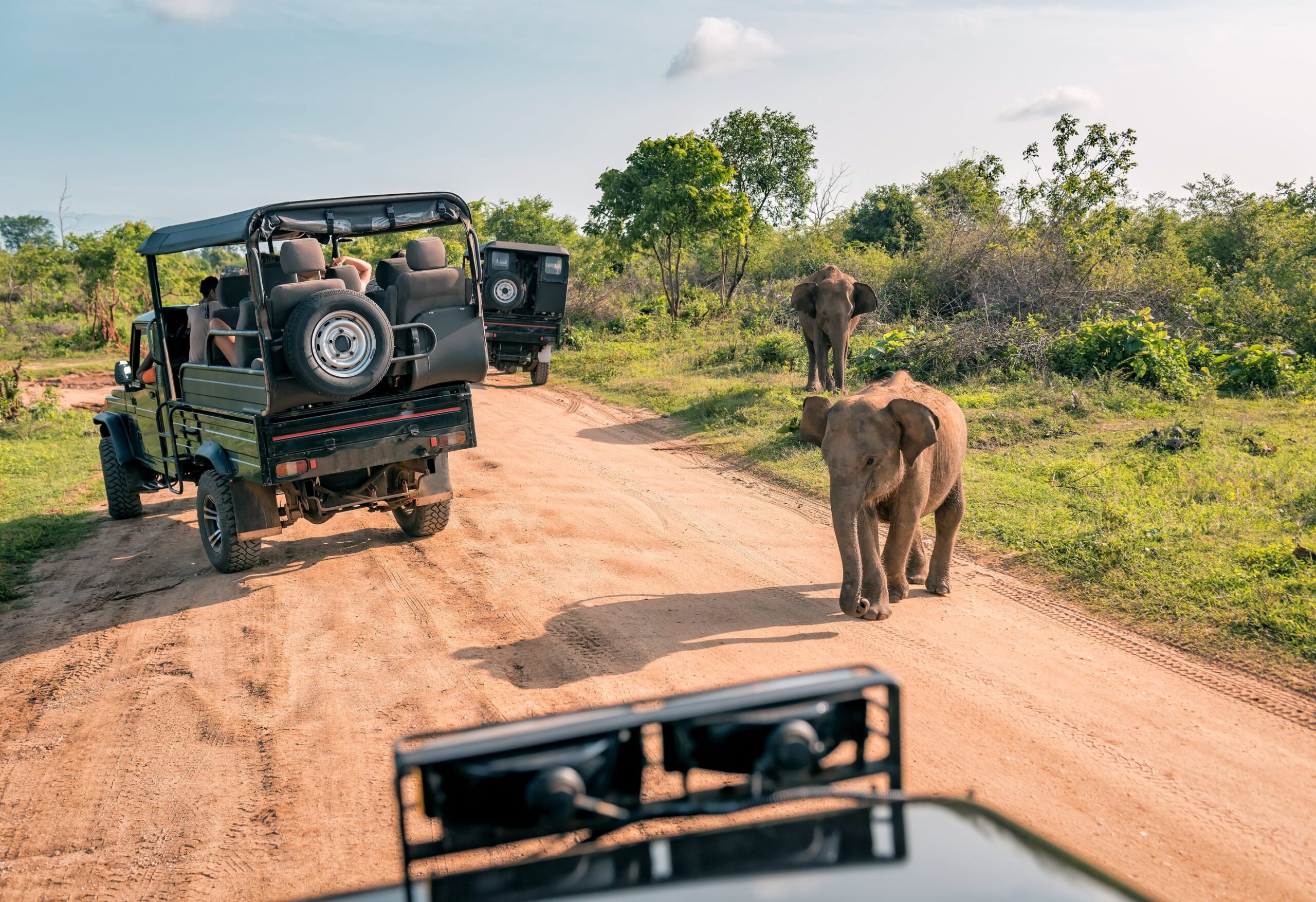 Kruger Activities – Things To Do in Kruger National Park