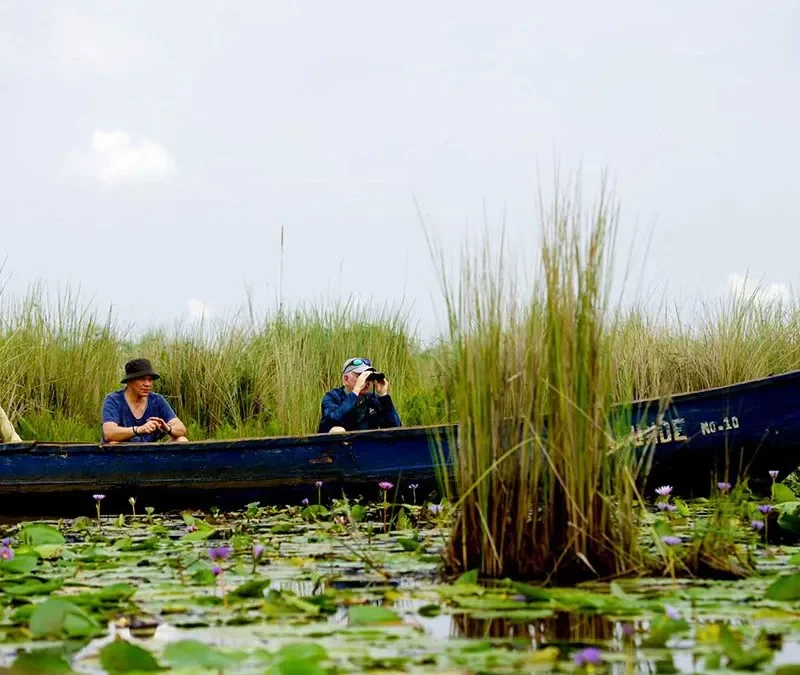 Mabamba Swamp