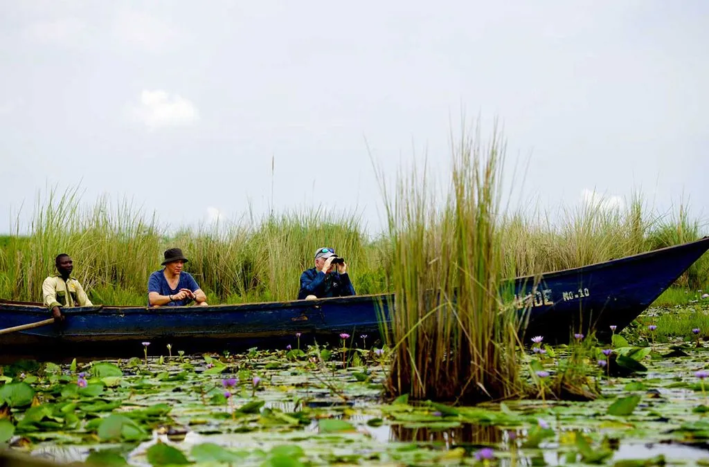 Mabamba Swamp