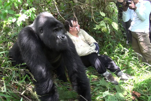 Month by Month Guide to the Best Time to Visit Uganda