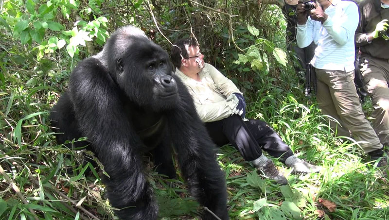 Month by Month Guide to the Best Time to Visit Uganda