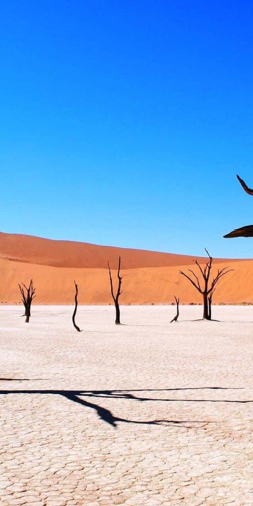 Planning a Trip To Visit Deadvlei in Namibia