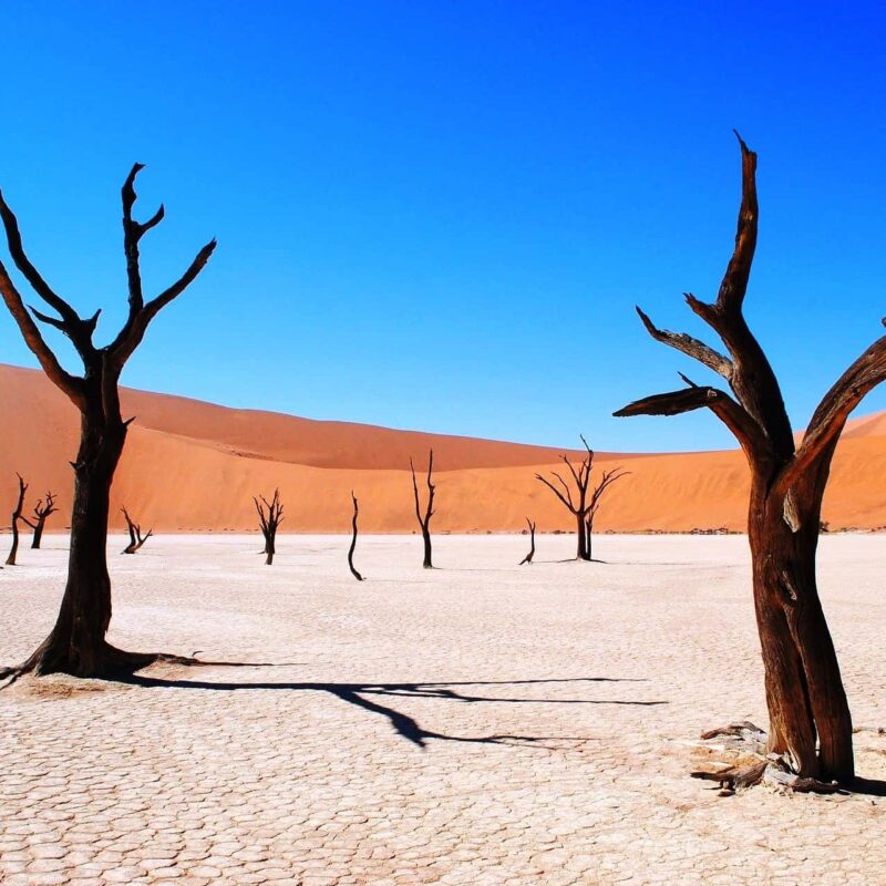 Planning a Trip To Visit Deadvlei in Namibia