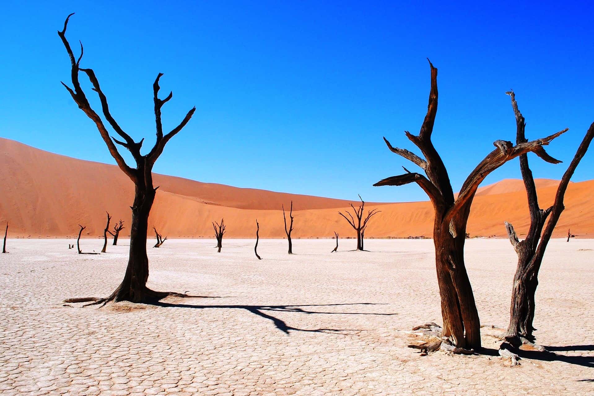 Planning a Trip To Visit Deadvlei in Namibia