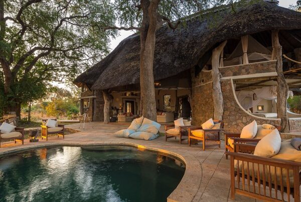 Top 10 Best South Luangwa Luxury Safari Lodges & Camps