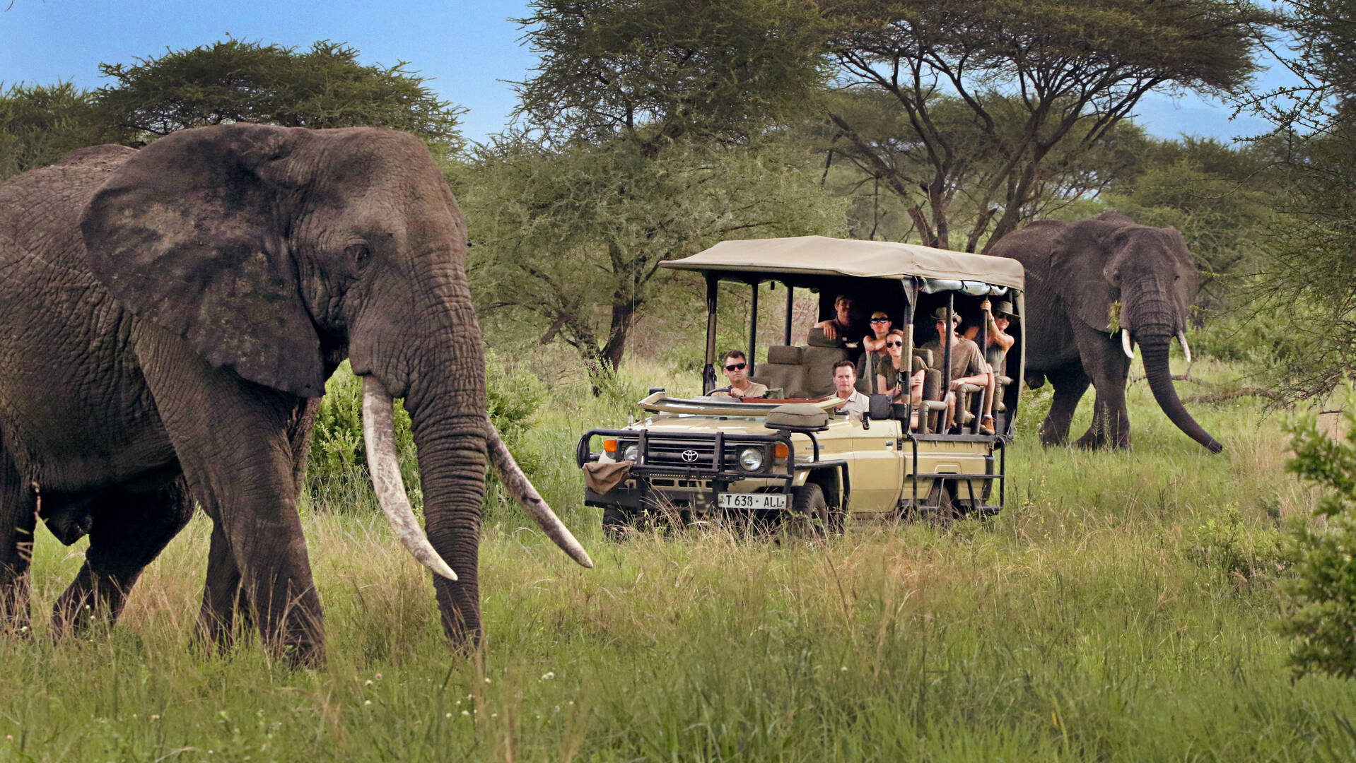 The Best East African Safari Tours