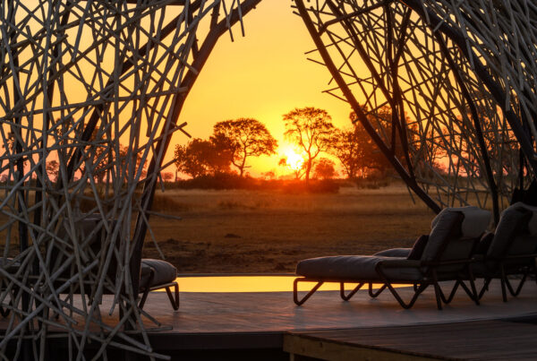 Top 10 Best Luxury Botswana Safari Lodges & Camps