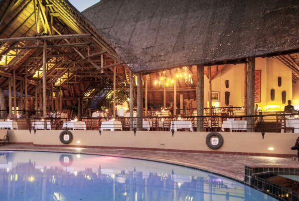 Top 10 Best Luxury Chobe Safari Lodges & Camps