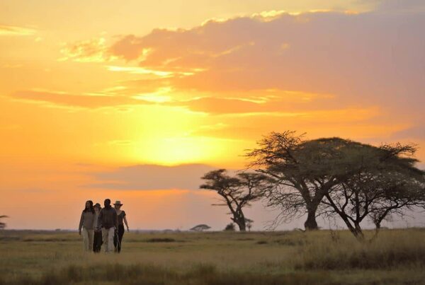 Top 10 Best Places To Visit in Africa in 2025 - 2026