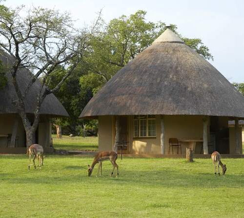 Top 10 Best Rest Camps in Kruger National Park