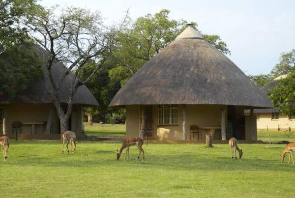 Top 10 Best Rest Camps in Kruger National Park