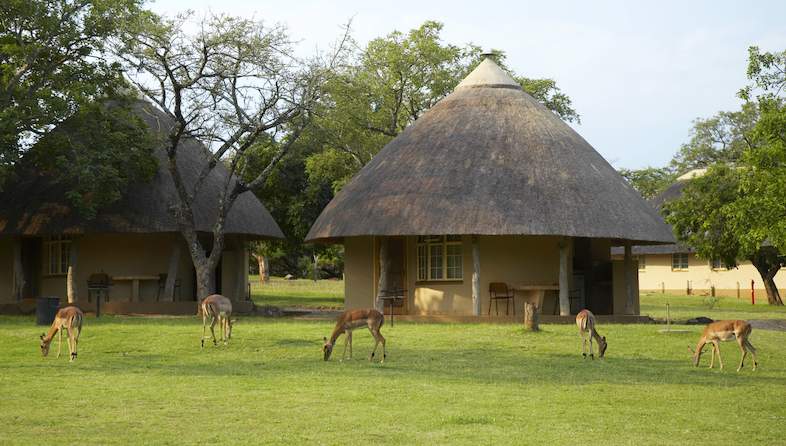 Top 10 Best Rest Camps in Kruger National Park