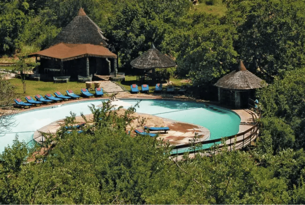 Top 10 Best Tarangire National Park Safari Camps & Lodges