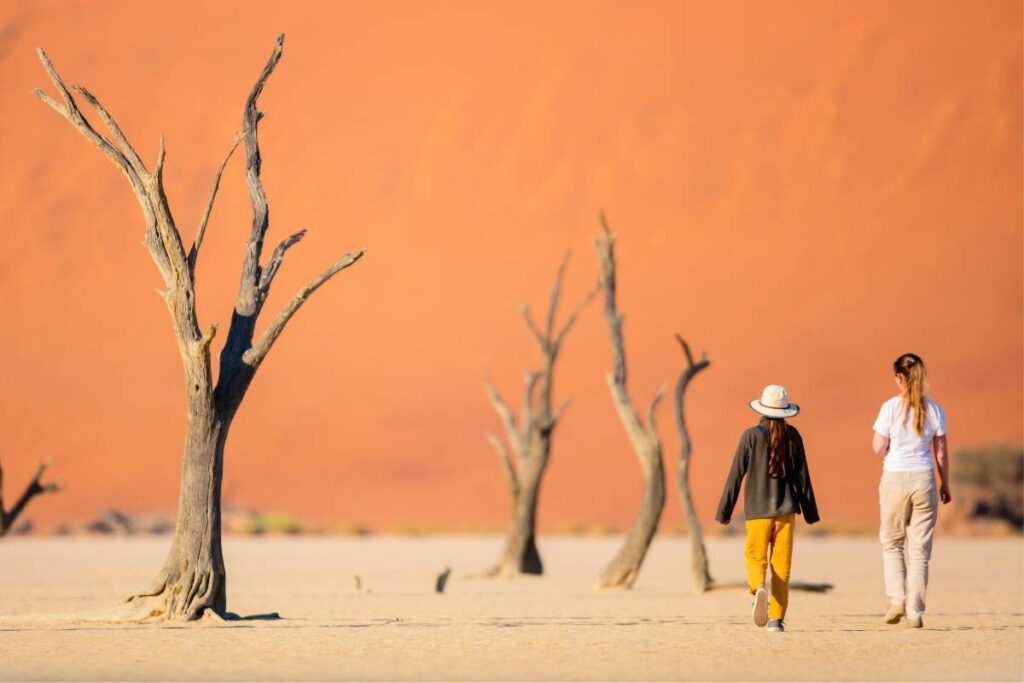 Top 10 Best Things To Do in Namibia