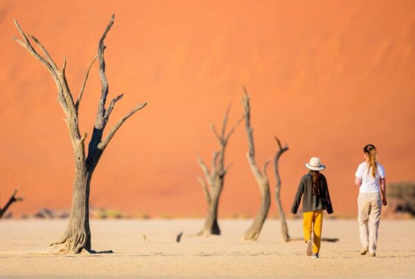 Top 10 Best Things To Do in Namibia