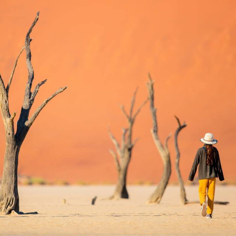 Top 10 Best Things To Do in Namibia