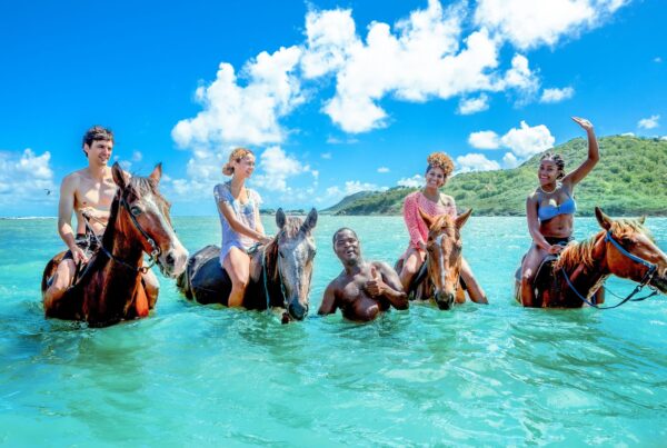Top 10 Best Things To Do in St Lucia (KZN, South Africa)