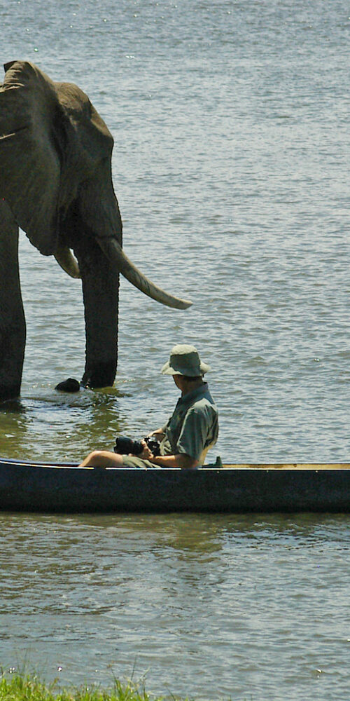 Top 10 Best Things To Do in Zimbabwe