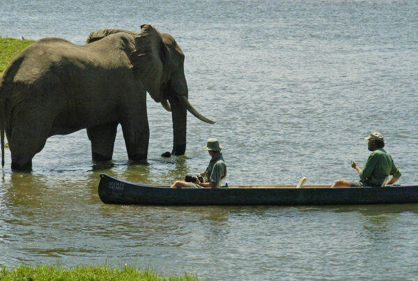 Top 10 Best Things To Do in Zimbabwe