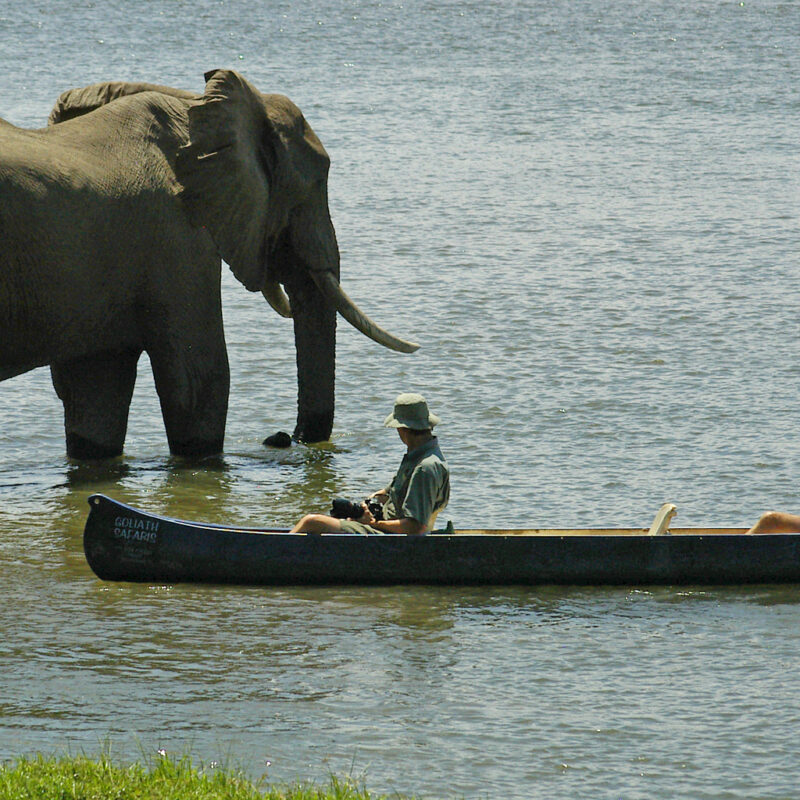 Top 10 Best Things To Do in Zimbabwe