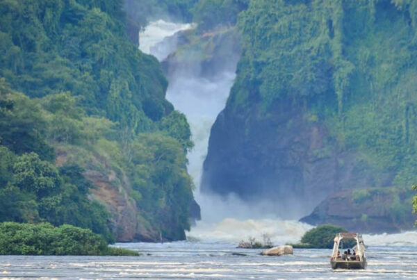Top 10 Best Tourist Attractions and Places To Visit in Uganda