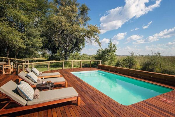 Top 10 Best-value Luxury Lodges and Camps in and Around Moremi