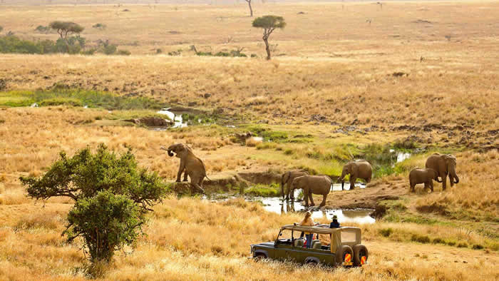 Top 10 Conservancies in Kenya
