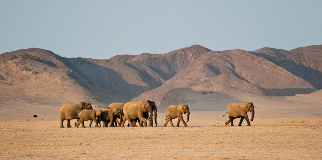 Top 10 Destinations in Southern Africa