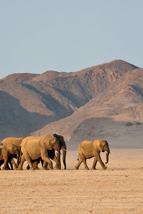 Top 10 Destinations in Southern Africa