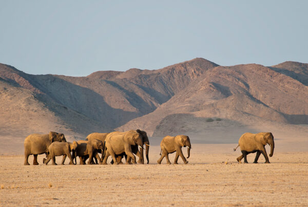 Top 10 Destinations in Southern Africa