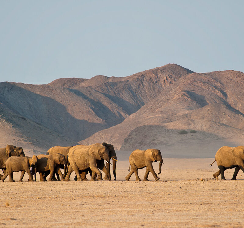 Top 10 Destinations in Southern Africa