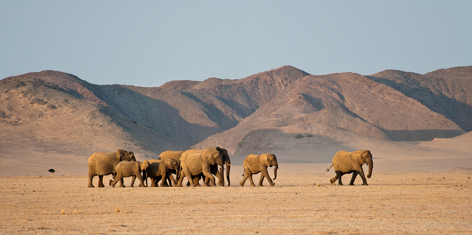 Top 10 Destinations in Southern Africa