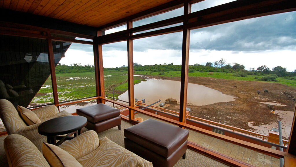 Top 5 Aberdare Lodges & Camps