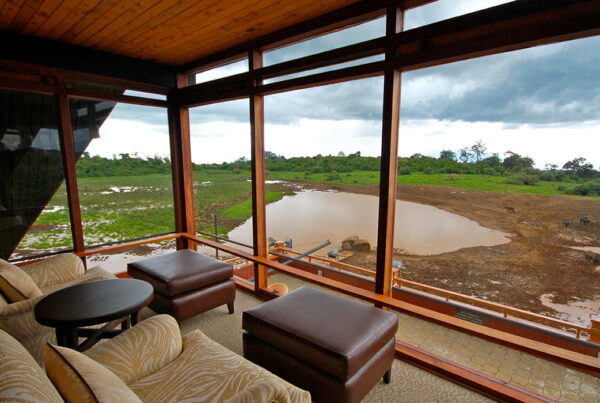 Top 5 Aberdare Lodges & Camps