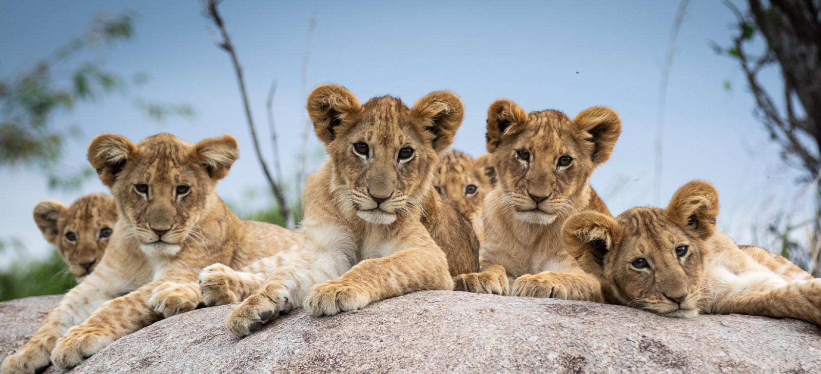 Top 5 Best Tanzania Itinerary Ideas