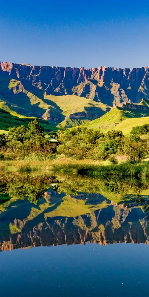 Top 6 Best Game Reserves for Safaris in KwaZulu-Natal (KZN)