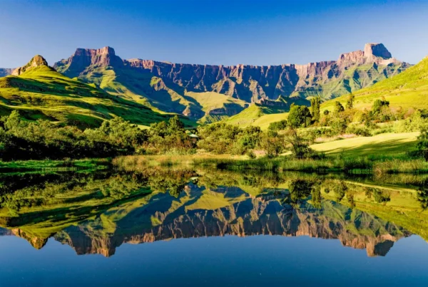 Top 6 Best Game Reserves for Safaris in KwaZulu-Natal (KZN)